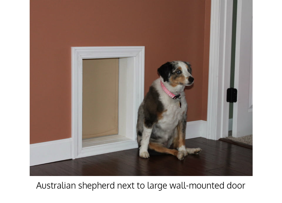 Dog flap in wall hotsell