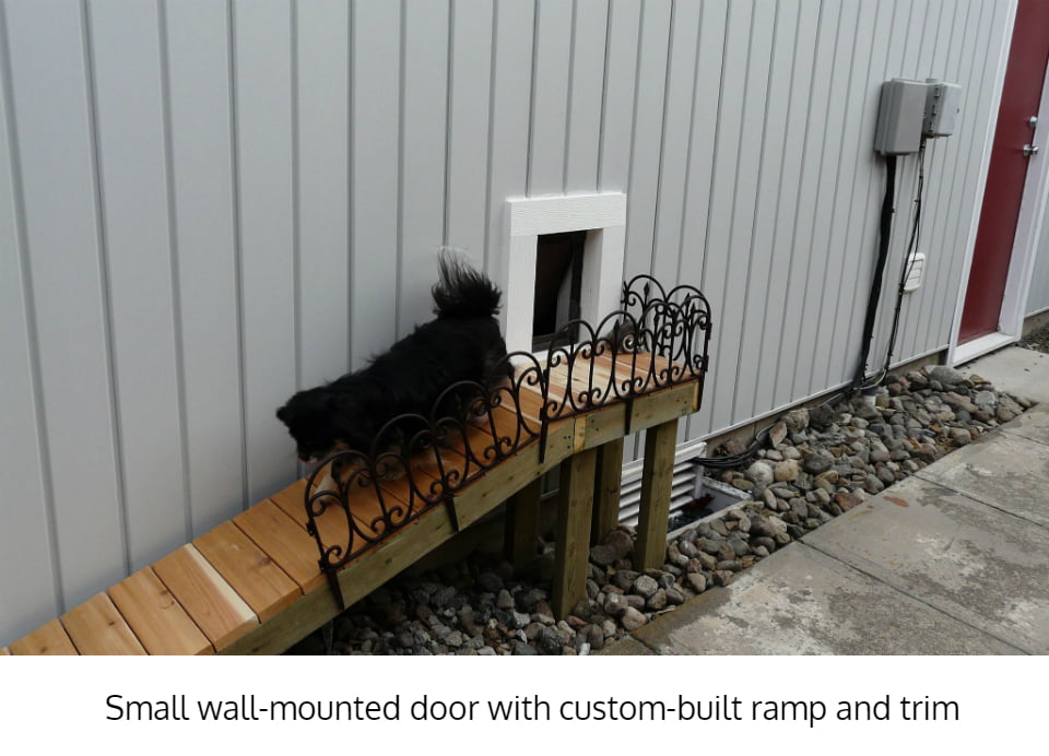 Exterior wall shop dog door